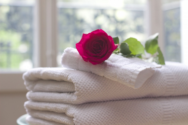 hotel-SIX FOURS LES PLAGES-min_towel_rose_clean_care_salon_spa_white_bath-731641